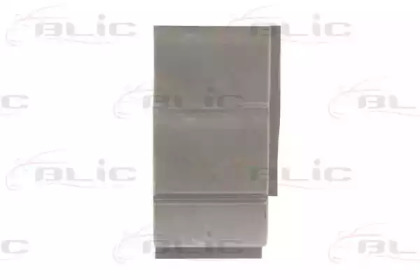 BLIC 6504-03-9558562P BLIC 6504-03-9558562P