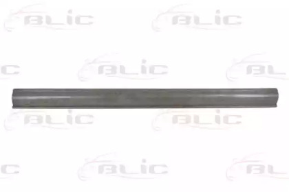 BLIC 6505-06-6010015P