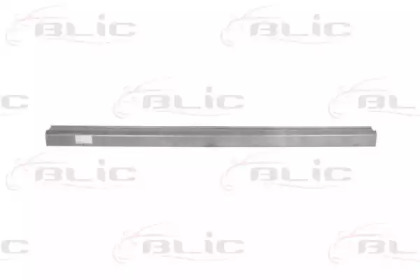 BLIC 6505-06-9531015P