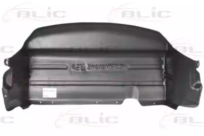 BLIC 6601-02-0060861P