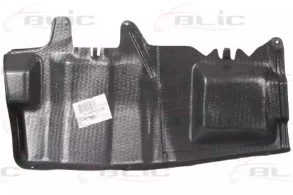 BLIC 6601-02-9008873P BLIC 6601-02-9008873P