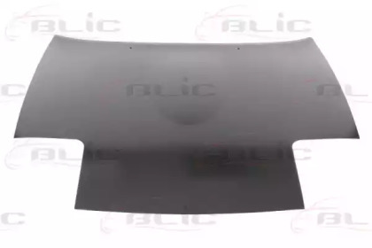 BLIC 6803-00-3455280P