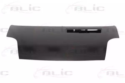BLIC 6803-00-5089280Q