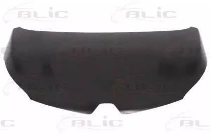 BLIC 6803-00-6009280P