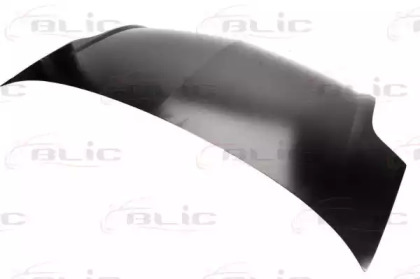 BLIC 6803-00-6088280P