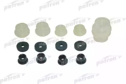 PATRON P18-0011