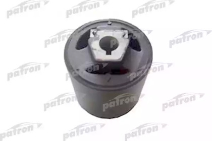 PATRON PSE1079