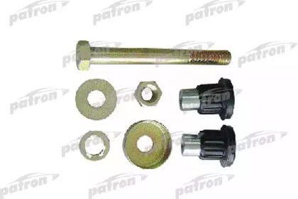 PATRON PSE2101