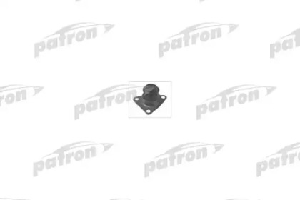 PATRON PSE3173