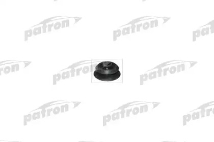 PATRON PSE3231