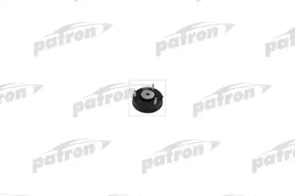 PATRON PSE4101