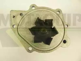 motaquip vwp833
