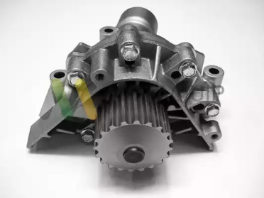 motaquip vwp924