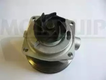 motaquip vwp557