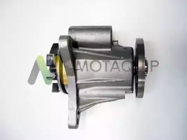 motaquip lvwp988