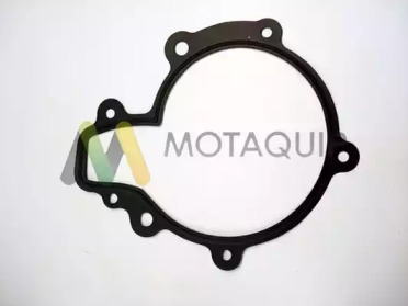 MOTAQUIP LVWP998