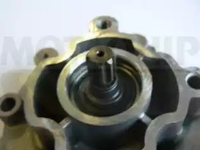 motaquip vwp795