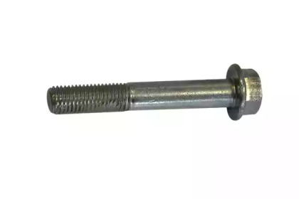 ASAM 30776