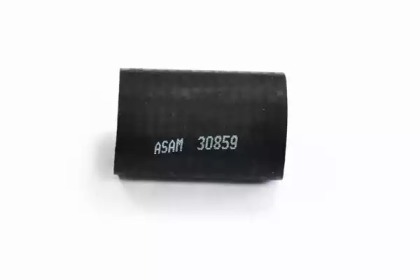 ASAM 30859