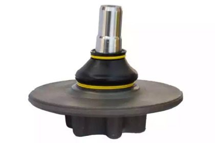 ASAM 80744