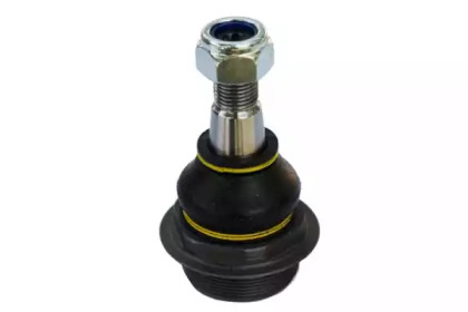 ASAM 80800