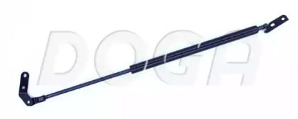 DOGA 2008953