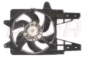 DOGA EFI024