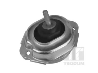 TEDGUM 00088547