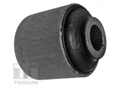 TEDGUM 00192151