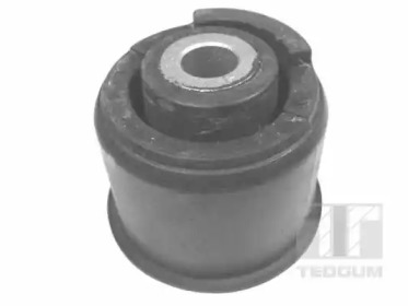 TEDGUM 00214629