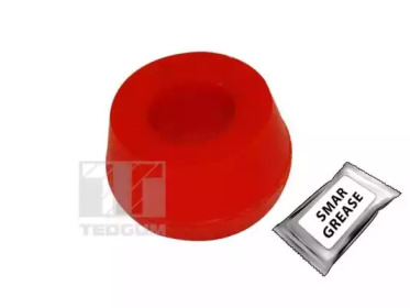 tedgum 00218911