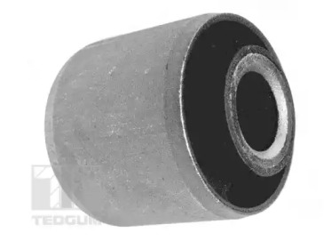 tedgum 00224036