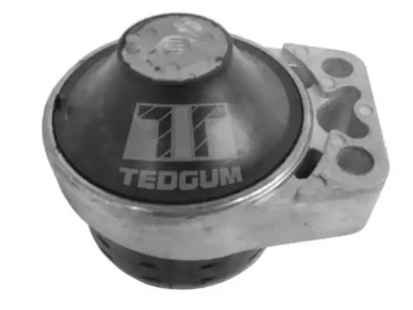 TEDGUM 00226952