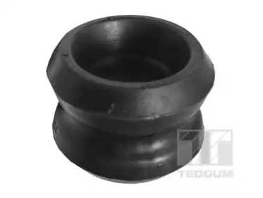 TEDGUM 00228091