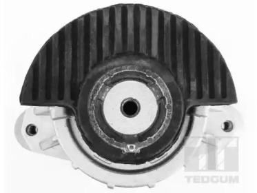 tedgum 00228467