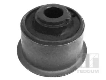 TEDGUM 00236896