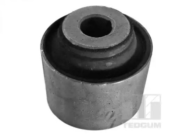 tedgum 00261956