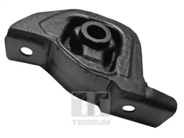 TEDGUM 00261958