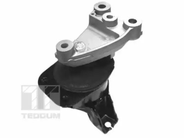 TEDGUM 00263047