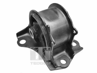 TEDGUM 00266882