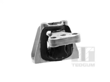 TEDGUM 00269162