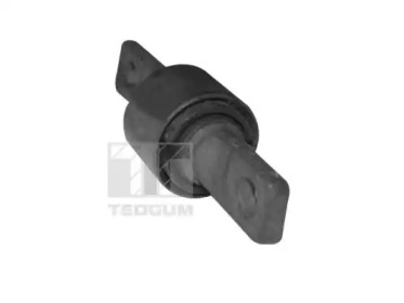 TEDGUM 00269796