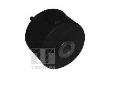 TEDGUM 00289378