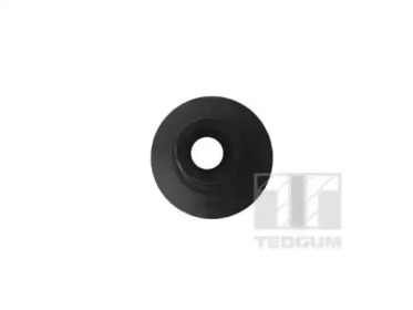 tedgum 00398165