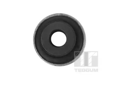 tedgum 00418840