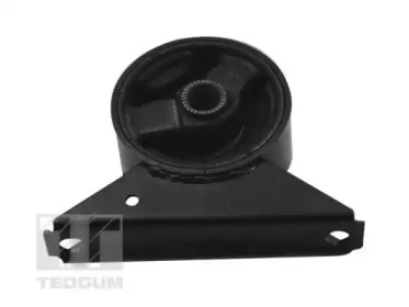 TEDGUM 00441744