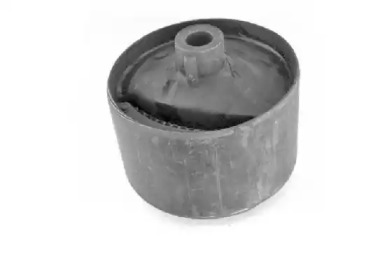 TEDGUM 00444024