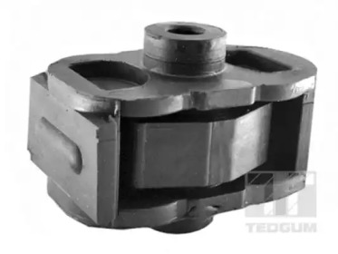 TEDGUM 00461559