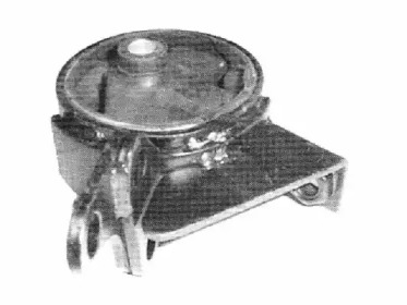 TEDGUM 00462505