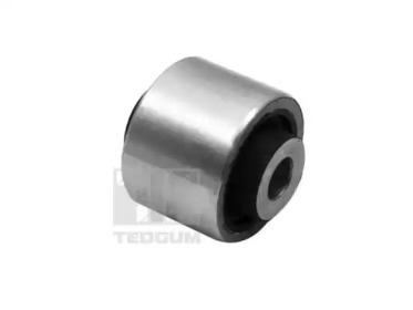 TEDGUM 00469969